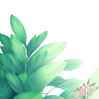 春天绿叶草丛免抠