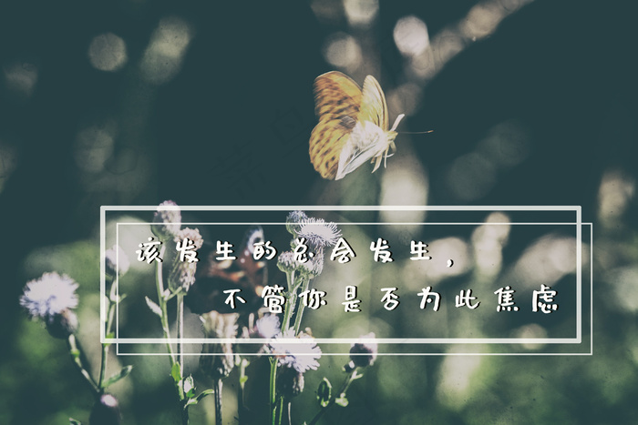 生活文字语录图片