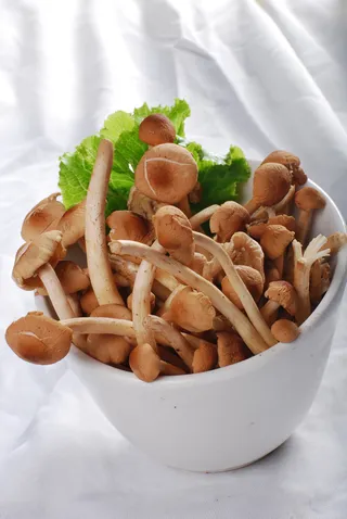 蘑菇香菇金针菇杂菇菌类美食素菜