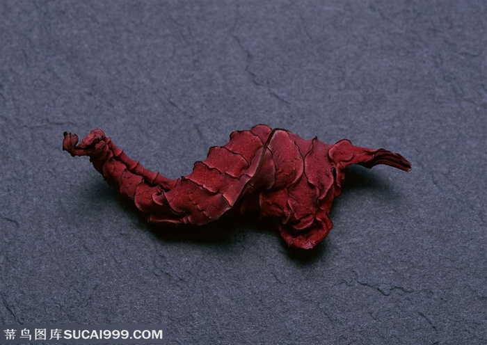 树木树叶-干枯得扭曲在一起的红色树叶