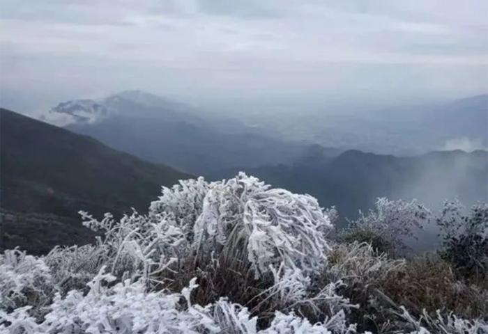 雪景树木风光图片