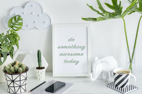 北欧简约绿植盆栽场景(12) 北欧简约绿植盆栽场景(12)