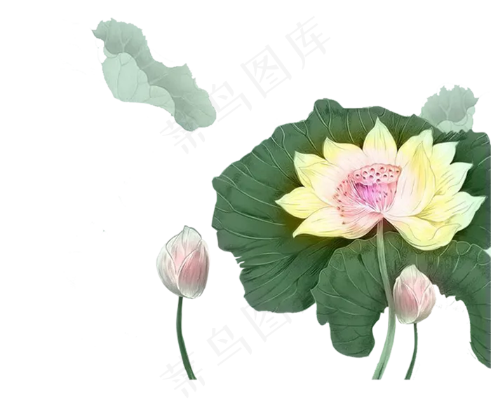 唯美古风水彩手绘荷叶荷花