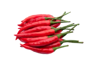 红辣椒 (8)超市商品白底图免抠实物摄影png格式图片透明底