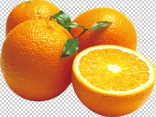 橙子免扣素材