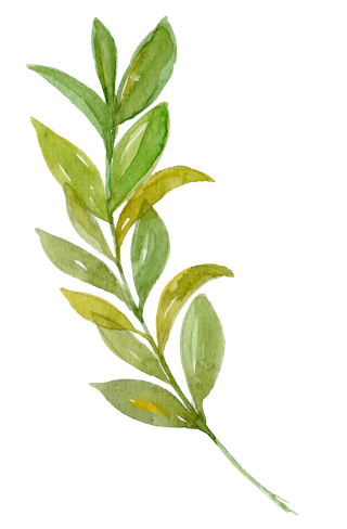 唯美森系手绘水彩花朵 免抠