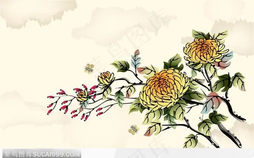 中国画菊花怀蝴蝶