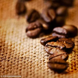 餐饮食品-诱人的咖啡豆