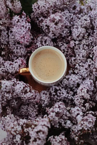 黑色美味咖啡摄影素材