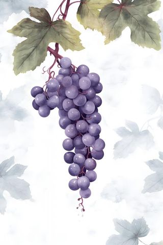 葡萄水彩国风背景