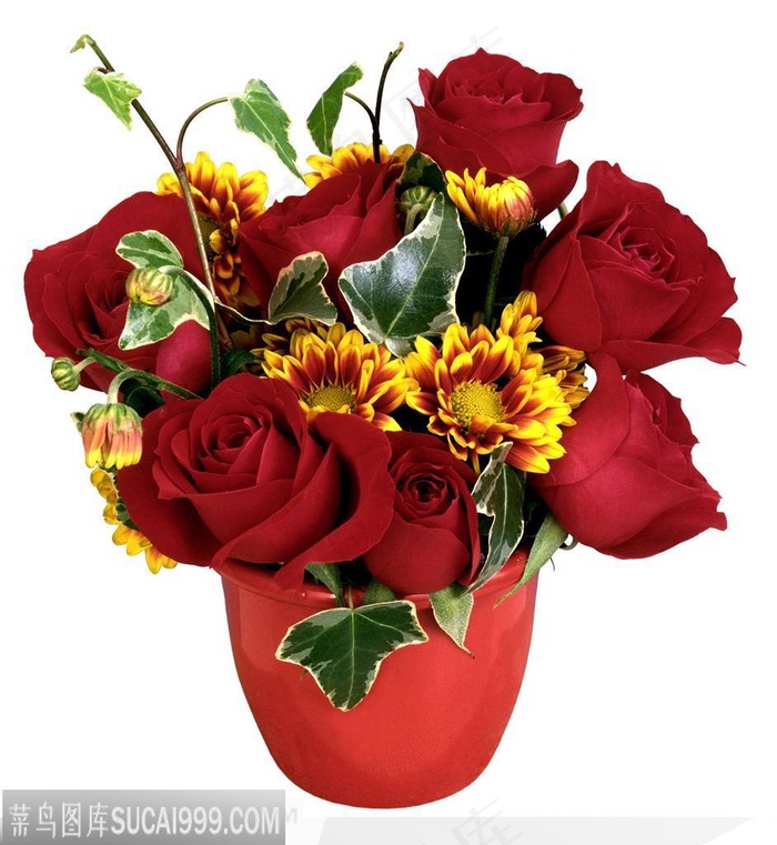 情人节花物语-桶内的红色玫瑰