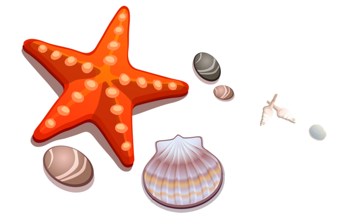 海星海鱼卡通