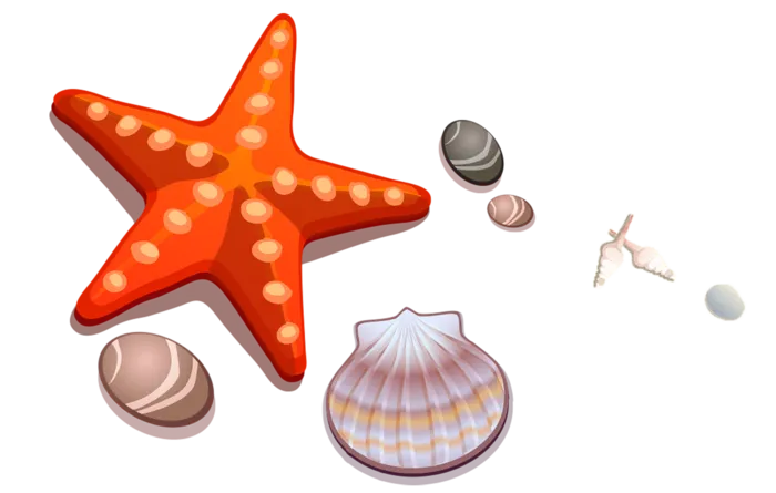海星海鱼卡通