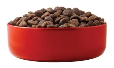 狗粮 PNG免抠(380x228)