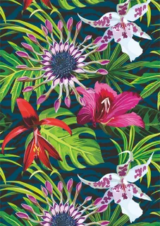 热带花植物高清矢量图