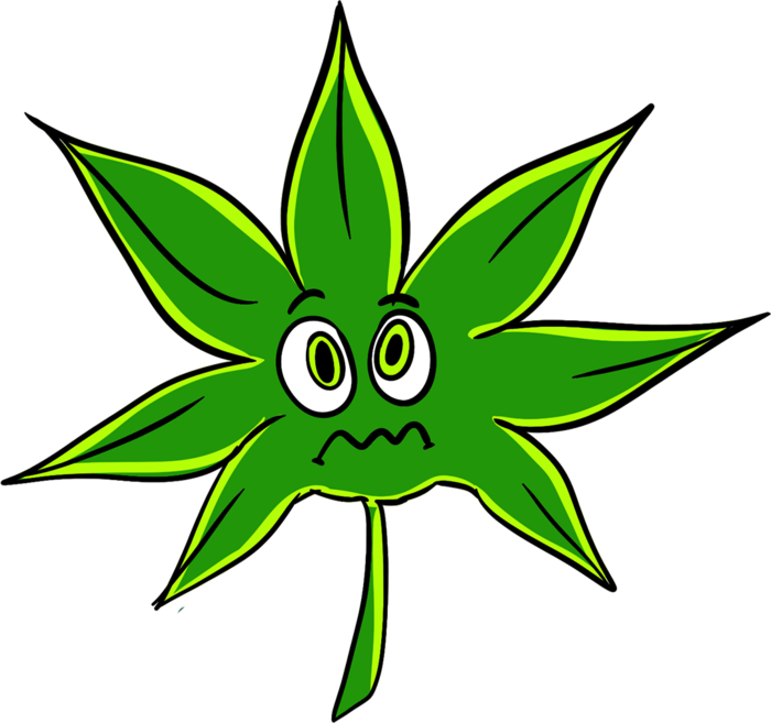 树叶绿色卡通