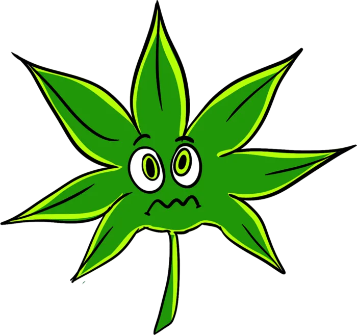 树叶绿色卡通