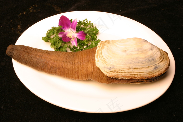 粤菜1339XO酱爆象拔象拔蚌