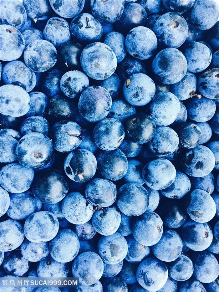 蓝莓组成的背景