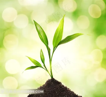 小草写真图片 小草写真图片