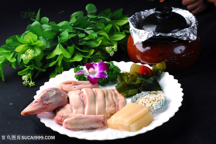 汤风味老鸭的美食图片