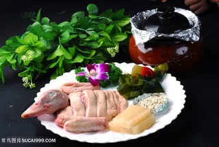 汤风味老鸭的美食图片