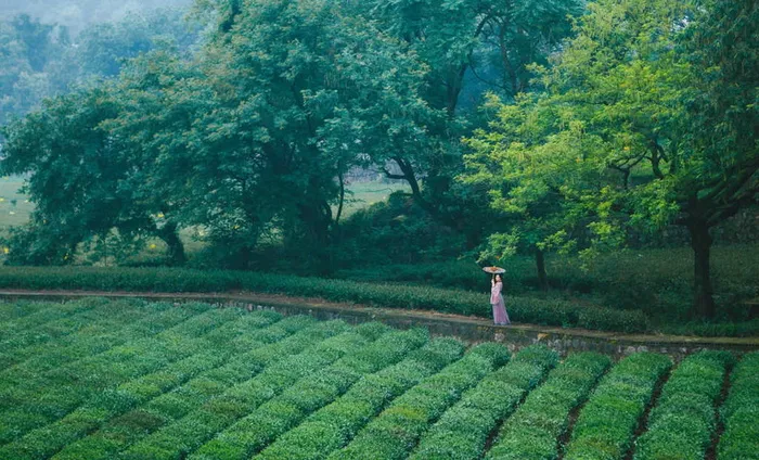 摄影图片人物美女模特照片