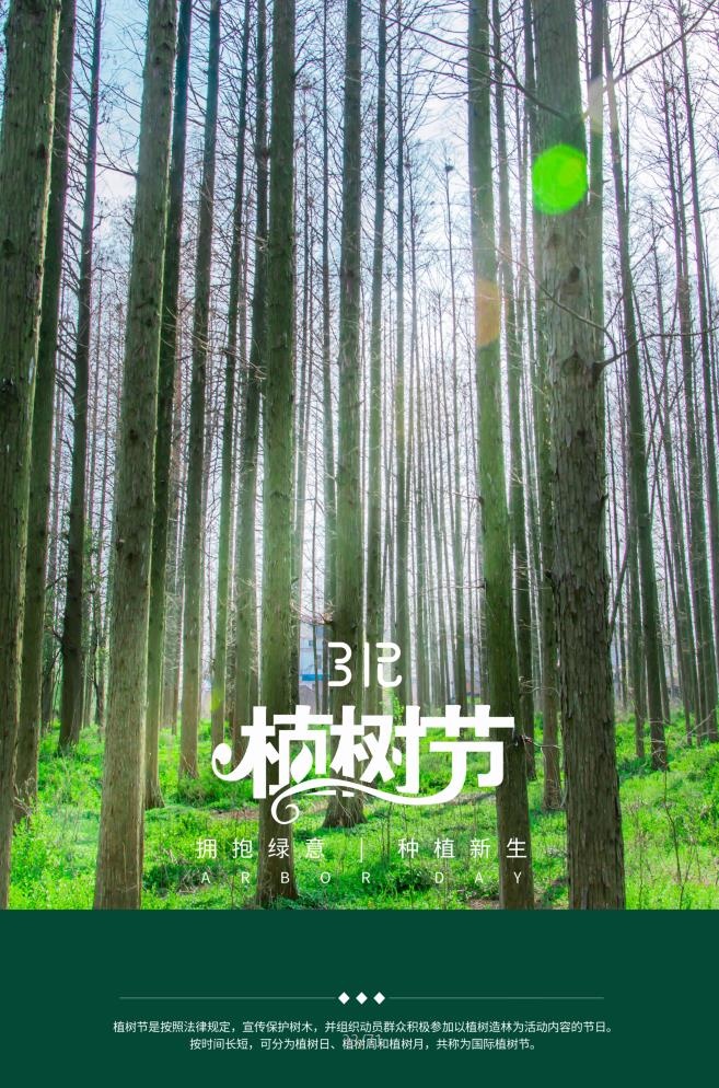 植树节3.12海报psd模版下载