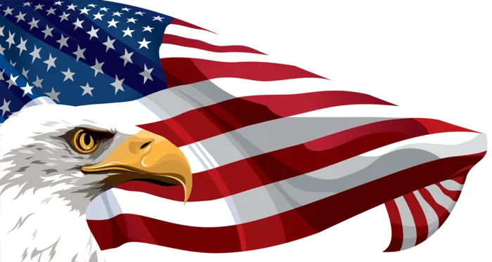 美国旗子老鹰