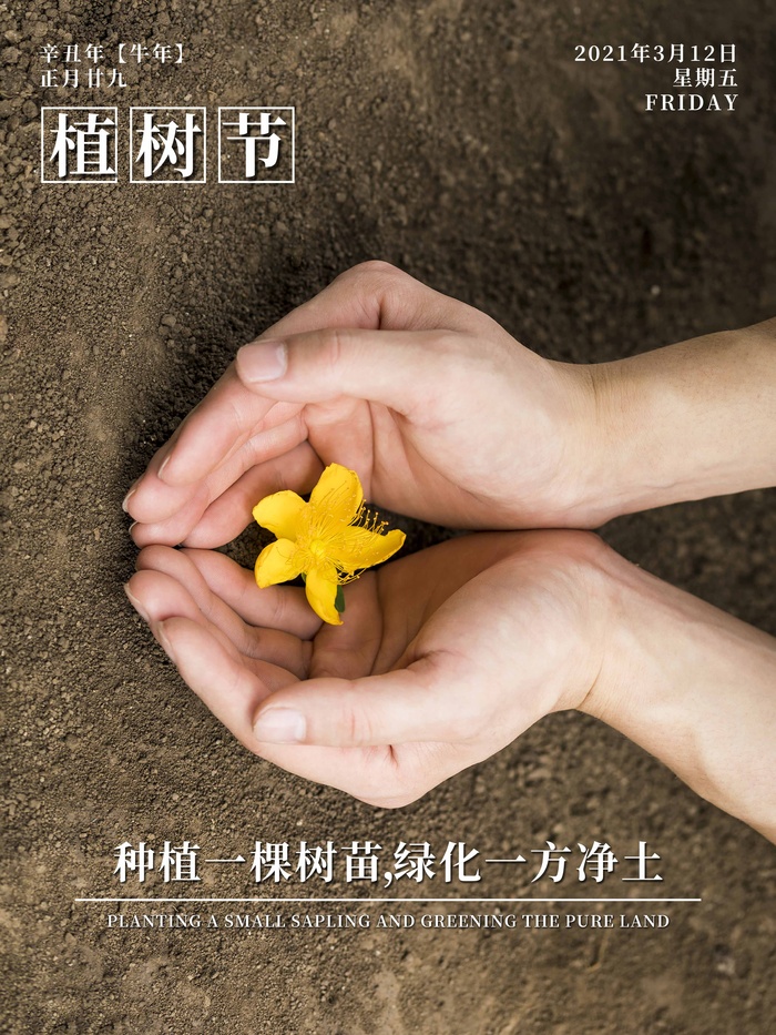 植树节 植树节宣传海报