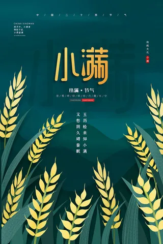 手绘24传统节气小满节日海报