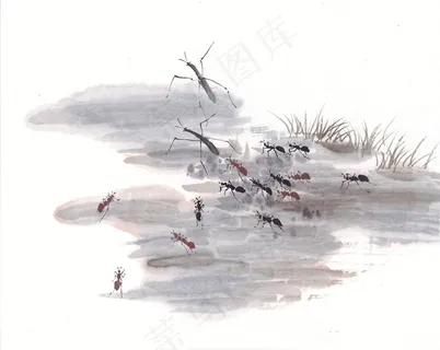 昆虫花草系列美图素材