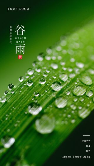 简约风谷雨节气海报