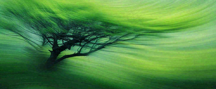 绿色植物树木绚丽虚幻背景