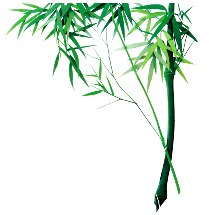 竹子水墨画中国风国画墨水书法竹子画