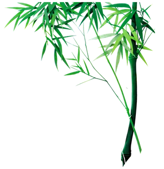 竹子水墨画中国风国画墨水书法竹子画