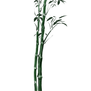 竹子水墨画中国风国画墨水书法竹子画