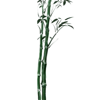 竹子水墨画中国风国画墨水书法竹子画