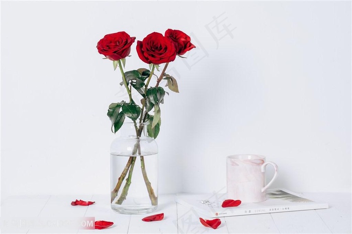 七夕情人节玫瑰花