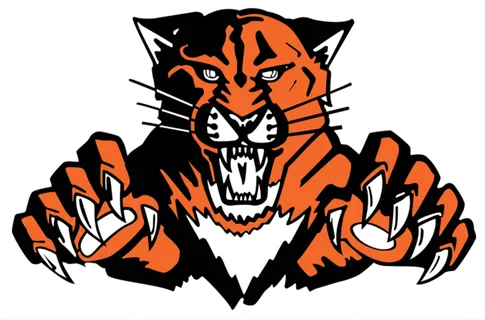 橘色老虎卡通简笔