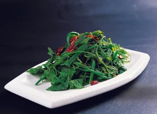 LCSC1965炝拌 南瓜苗22元