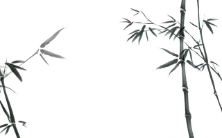 竹子水墨画中国风国画墨水书法竹子画