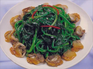 0806l-532菠菜毛蛤