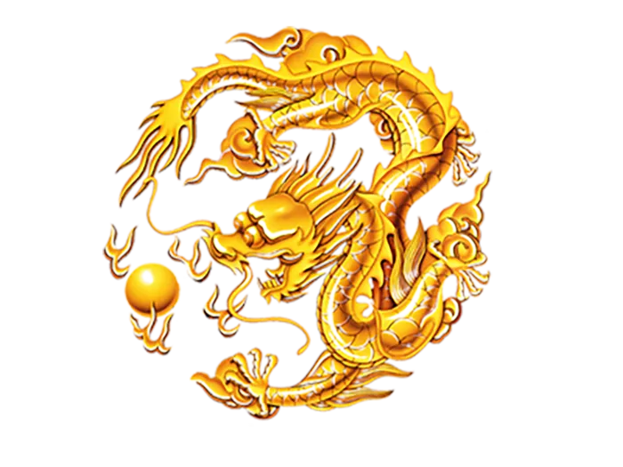 中国古风元素盘龙