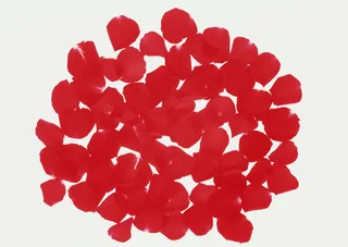 花团锦簇小红花瓣