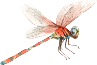 插画免抠高清素材