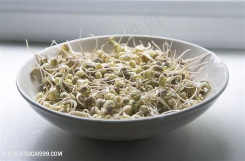 唯美蔬菜豆芽