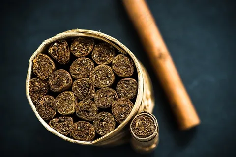 高档雪茄烟特写高清图