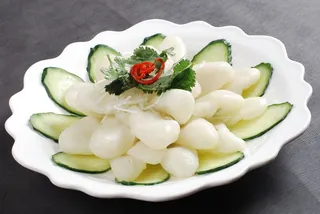 LCSC1665美味回鱼飘