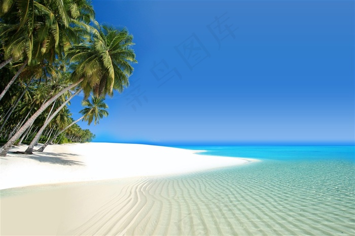 夏日海边图片